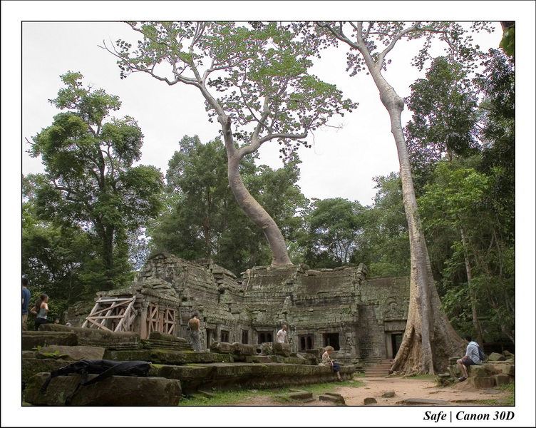 2006 - 07 - Temple angkor - Ta Prohm 05